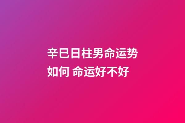辛巳日柱男命运势如何 命运好不好
